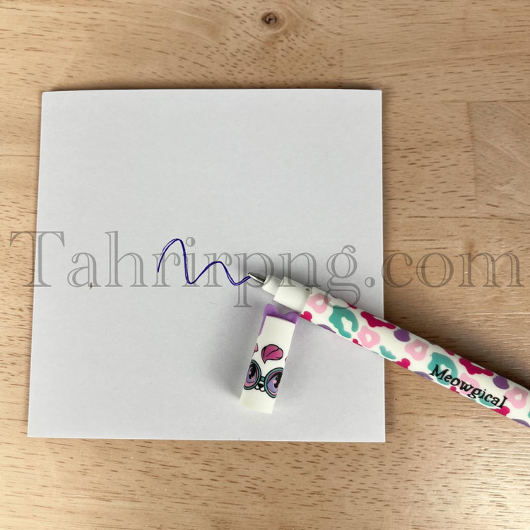 روان نویس پاکن دار اسکول فنس گربه
