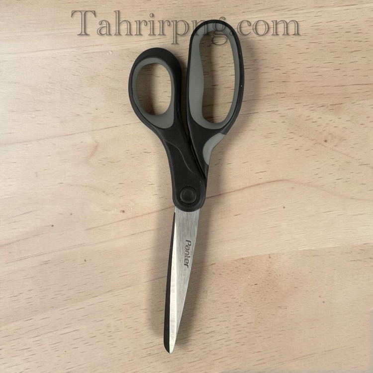قیچی پنتر ۲۰۵
