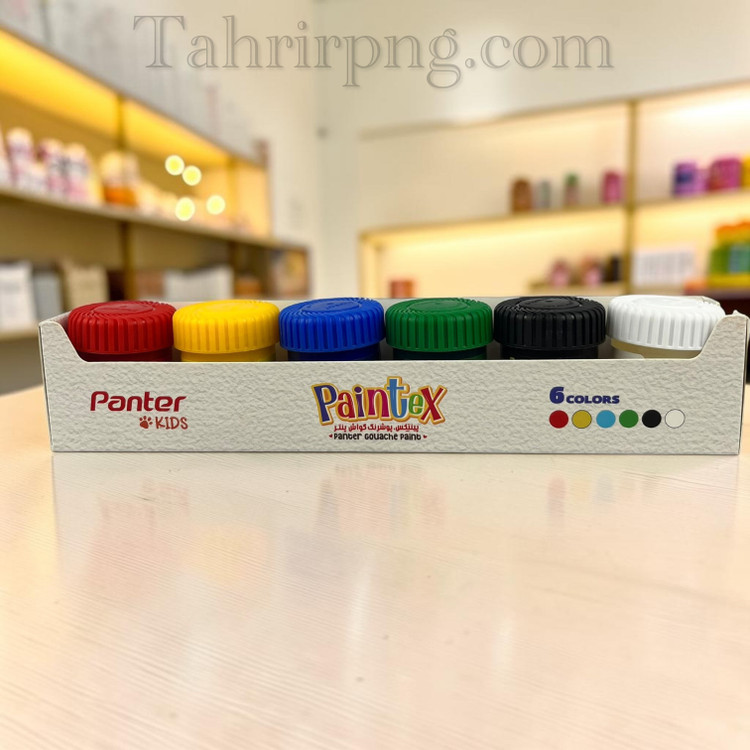 گواش پوشرنگ ۶ رنگ پینتکس پنتر